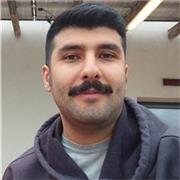 preparazione per l'esame IELTS, insegnamento in inglese sia per principianti che per livelli avanzati